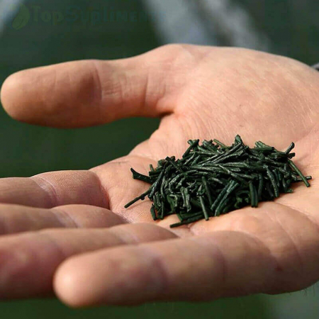 Spirulina 500mg. Vitaking superaliment, nutrienți, clorofilă, fier, 60-70% proteine, detoxifiere, tensiune arterială [1]