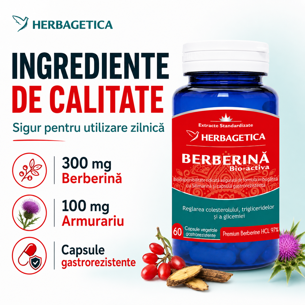Berberina bio-activa pastile glicemie si colesterol Herbagetica