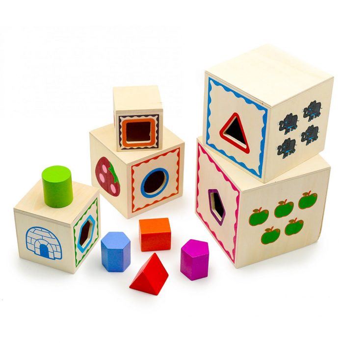 Set cuburi de lemn cu sortator Montessori [4]