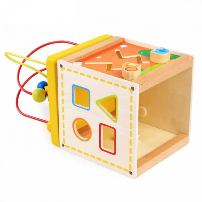Cub educativ Montessori 5 in 1 Multi Maze Box, multicolor [4]