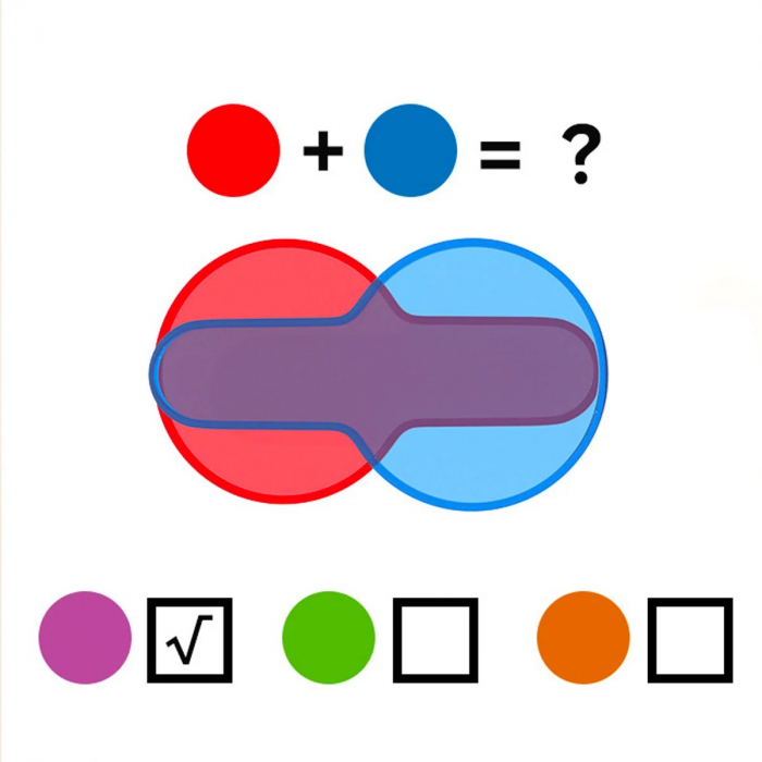 Joc Educativ Descopera Culorile, multicolor [5]
