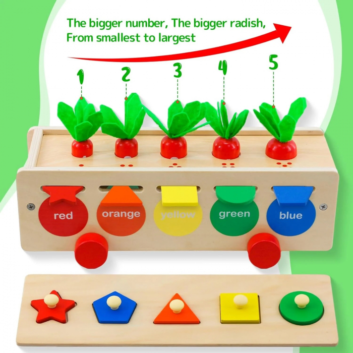 Joc educativ Montessori 3 in 1 cu Morcovi, indemanare si sortare, multicolor [3]