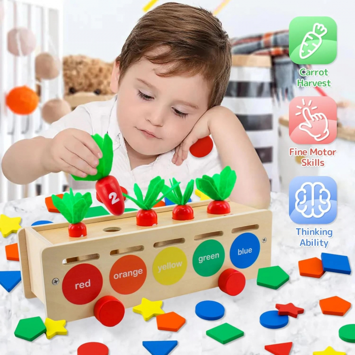 Joc educativ Montessori 3 in 1 cu Morcovi, indemanare si sortare, multicolor [5]