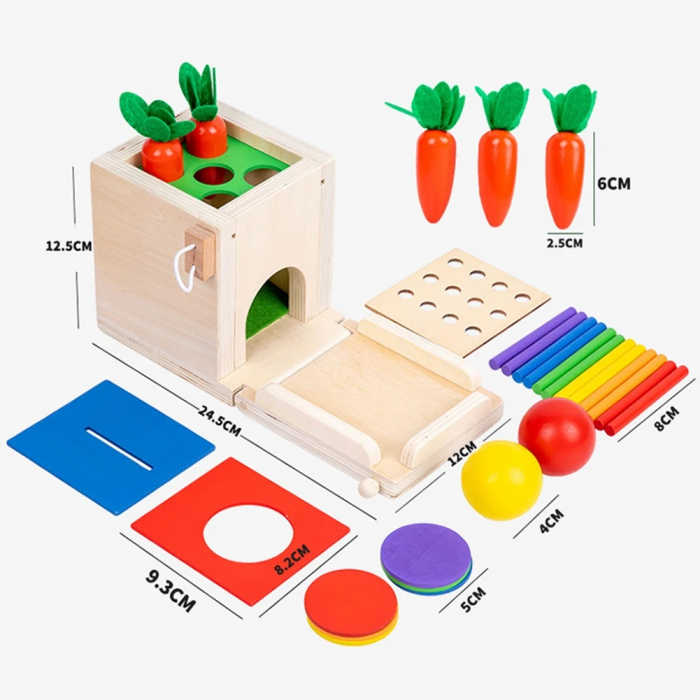 Joc educativ Montessori 4 in 1 Cutia Permanentei, indemanare si sortare, multicolor [5]
