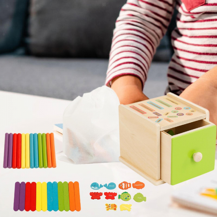 Joc educativ Montessori Cutia Permanentei pentru sortarea formelor si culorilor [2]