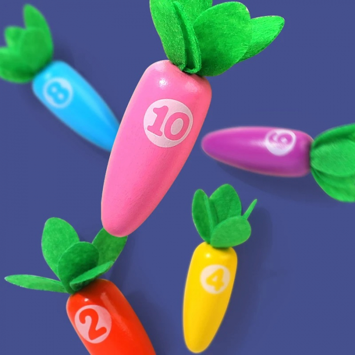 Joc Educativ Sortare si Numarare, Morcovii colorati cu betisoare, multicolor [4]