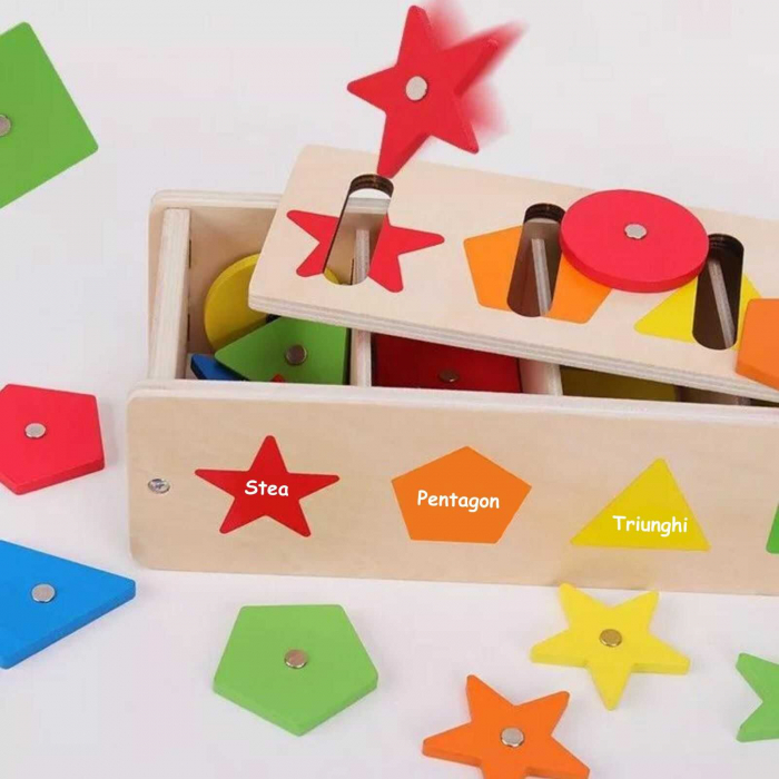 Joc Montessori de motricitate, sortare culori, asociere forme si pescuit magnetic in limba Romana [3]