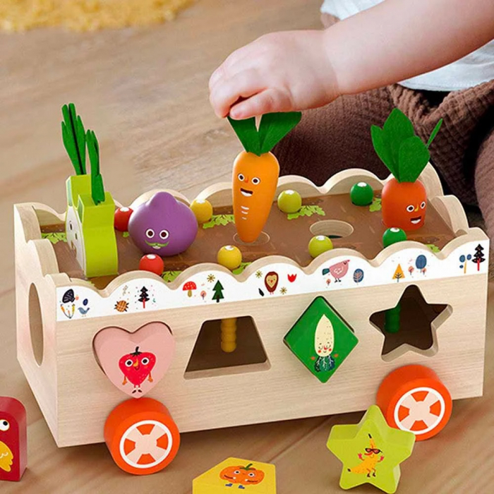 Jucarie Motricitate masinuta de tras Gradina cu legume si sortare forme, multicolor [3]