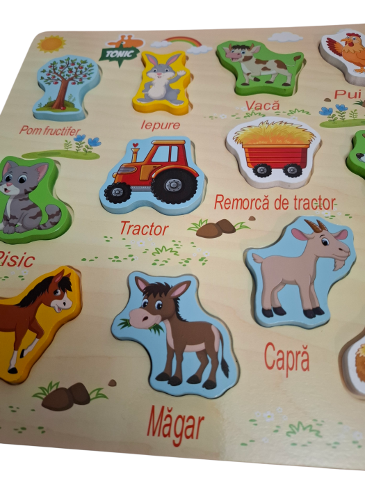 Puzzle incastru din lemn Ferma in limba Romana, 12 piese, multicolor [2]