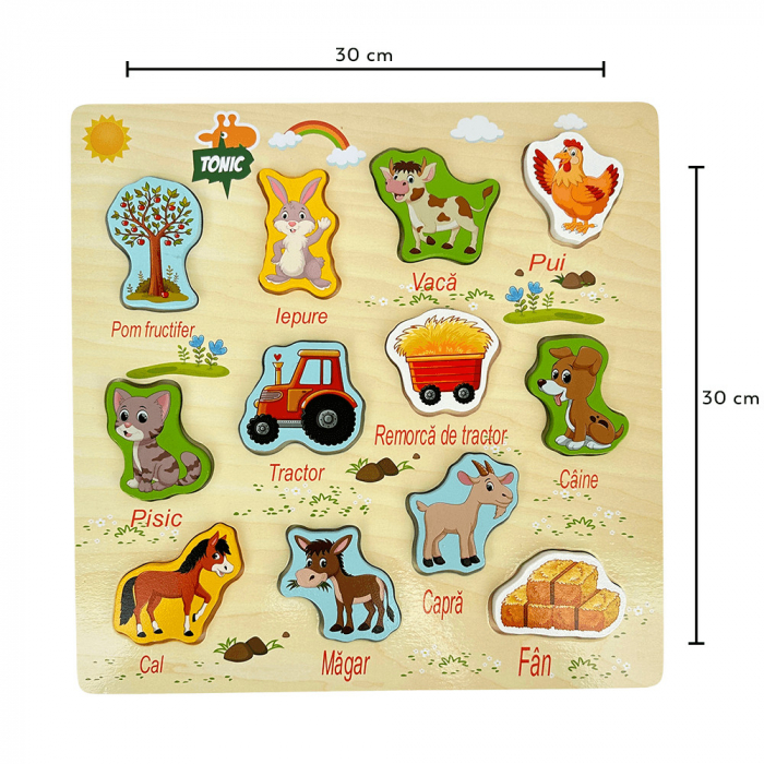 Puzzle incastru din lemn Ferma in limba Romana, 12 piese, multicolor [4]