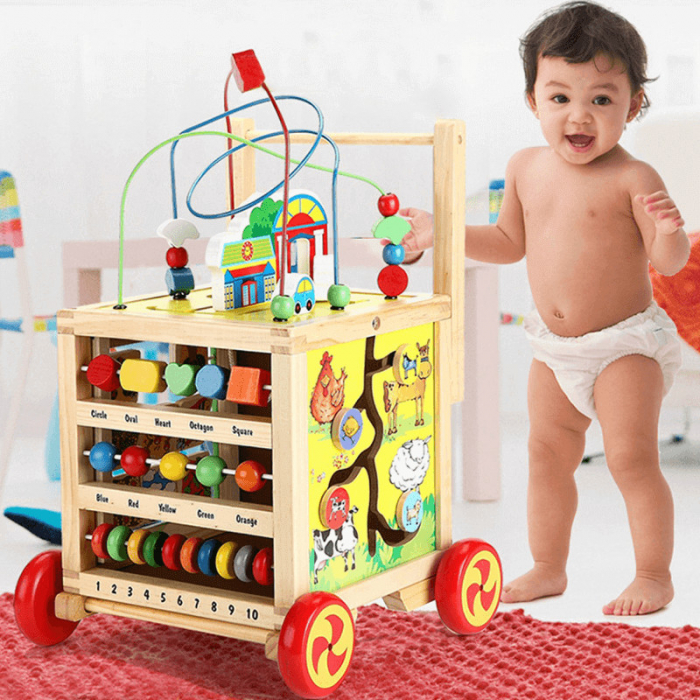 Antepremergator Cub Montessori cu activitati 6 in 1, varianta in limba Romana, lemn, multicolor, 58x33.5 cm [4]