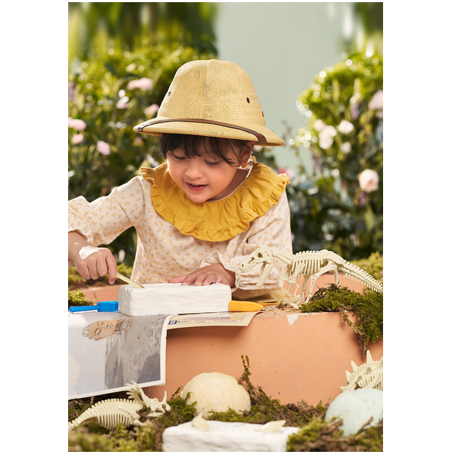 Set Arheologie descopar fosile Tyrannosaurus Rex, Dinosaur Fossil [4]