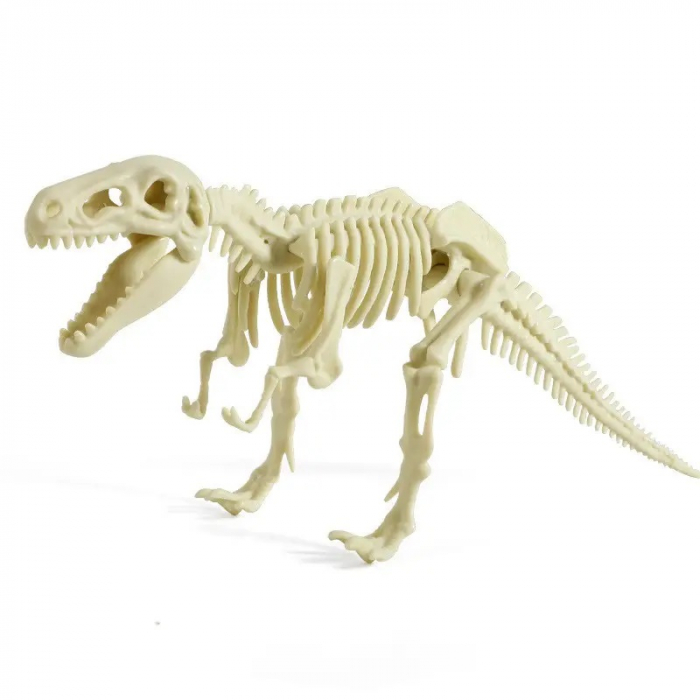 Set Arheologie descopar fosile Tyrannosaurus Rex, Dinosaur Fossil [5]