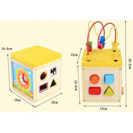 Cub educativ Montessori 5 in 1 Multi Maze Box, multicolor [5]