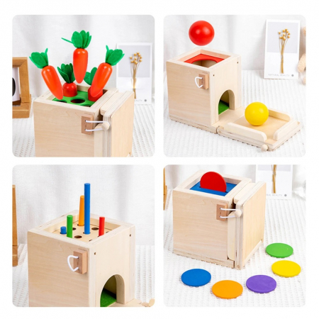Joc educativ Montessori 4 in 1 Cutia Permanentei, indemanare si sortare, multicolor [1]