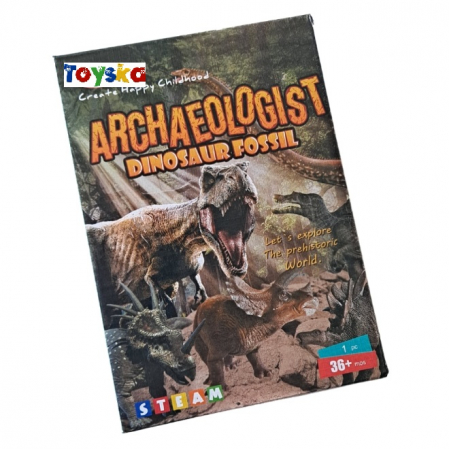 Set Arheologie descopar fosile Tyrannosaurus Rex, Dinosaur Fossil [2]