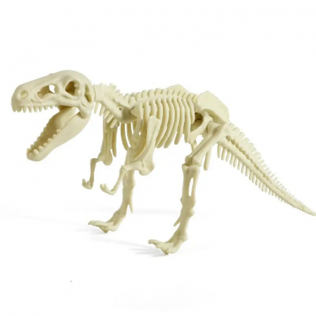 Set Arheologie descopar fosile Tyrannosaurus Rex, Dinosaur Fossil [4]