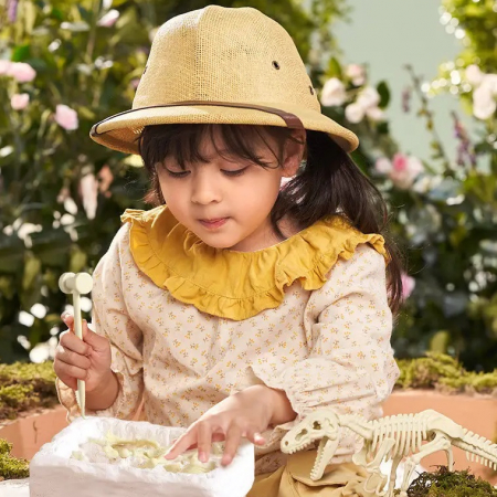 Set Arheologie descopar fosile Tyrannosaurus Rex, Dinosaur Fossil [1]