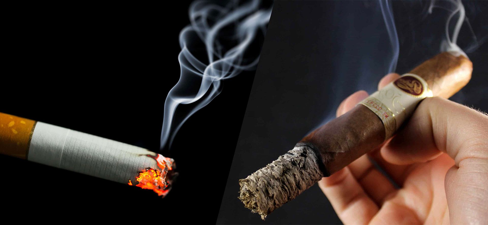 Cigars versus Cigarettes: A Clash of Styles and Traditions