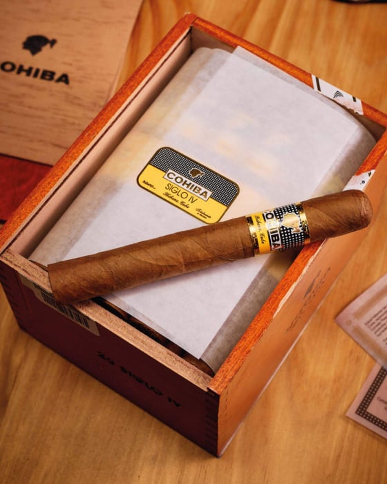 Cohiba Siglo VI Cigar