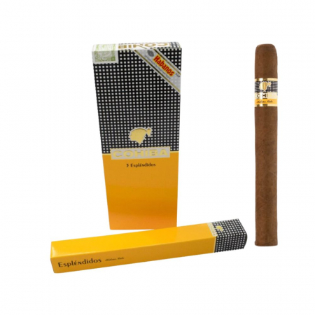 Immagini Stock - Parigi - Francia - 23 Marzo 2021: Sigaro Cubano Brown  Cohiba Isolato Su Grigio. Image 168577436