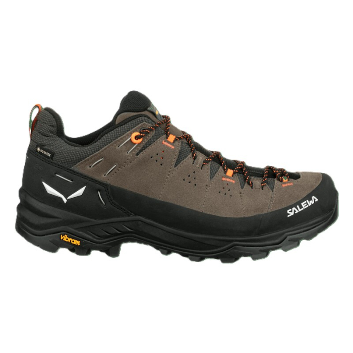 Incaltaminte barbati Salewa ALP TRAINER 2 GTX M BUNGEE CORD/BLACK [5]