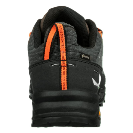 Incaltaminte barbati Salewa ALP TRAINER 2 GTX M BUNGEE CORD/BLACK [3]