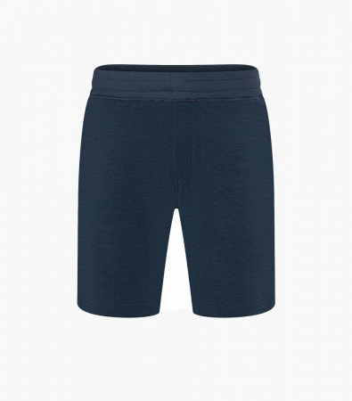 Pantaloni scurti barbati cu merino SN-SUPERNATURAL - M SOLUTION SHORTS Blueberry [2]