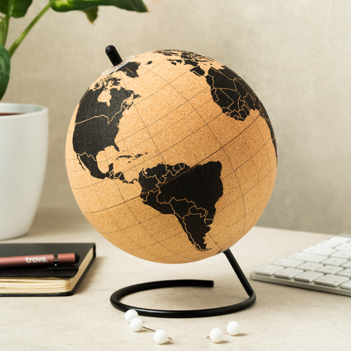 Glob pamantesc JOURNEY din pluta cu 12 pioneze pentru a marca tarile dorite [3]