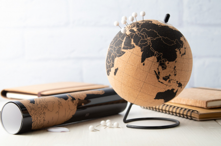 Glob pamantesc JOURNEY din pluta cu 12 pioneze pentru a marca tarile dorite [4]