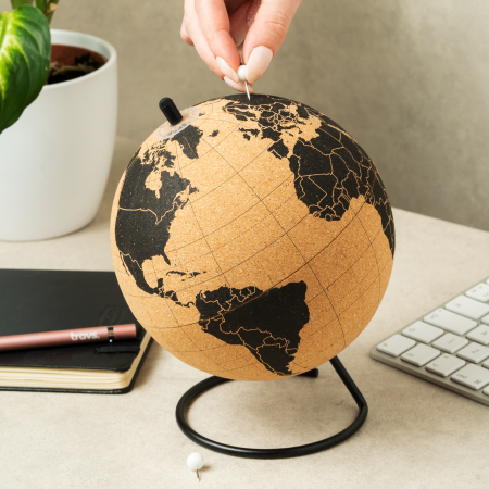 Glob pamantesc JOURNEY din pluta cu 12 pioneze pentru a marca tarile dorite [1]