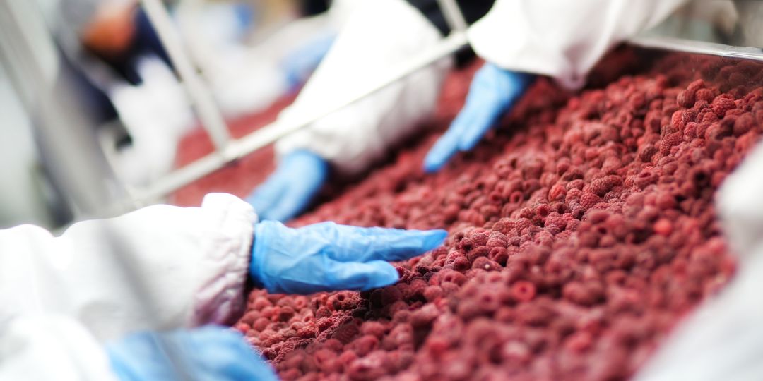 Ghid complet: când și cum se folosesc mânecuțele de unică folosință