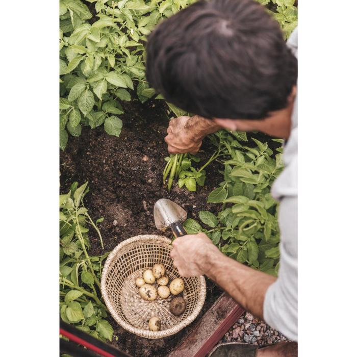 FISKARS XACT, Plantator cu lamă din inox [6]