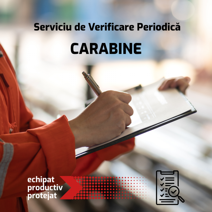 Serviciu Verificare Periodică: CARABINE [1]