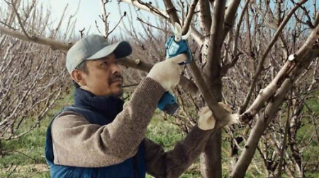 BOSCH PRO Pro Pruner, Foarfece de grădină cu acumulator, 12,0 V [6]