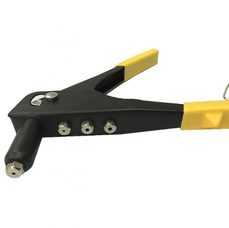 Cleste nituit HR 2095 - 9,5'' [2]