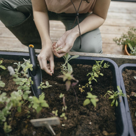 FISKARS SOLID, Plantator îngust [3]