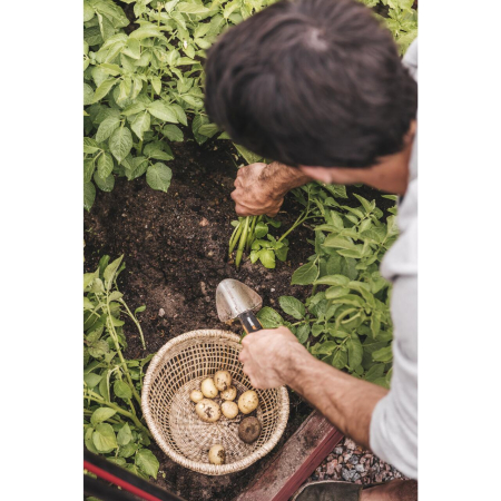FISKARS XACT, Plantator cu lamă din inox [5]