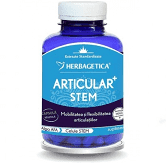 ARTICULAR + STEM 120 CPS [1]