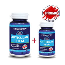 ARTICULAR STEM 60+10 CPS [1]