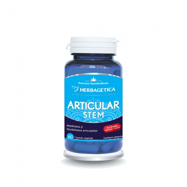 ARTICULAR STEM 60 CPS [1]