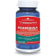 BERBERINA BIO-ACTIVA 60 CPS [1]