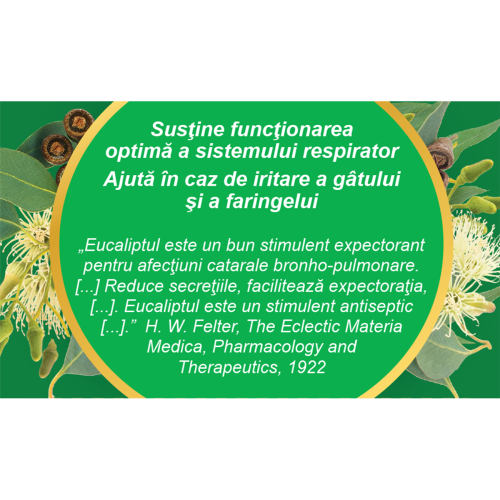 CEAI DE EUCALIPT FRUNZE 50 G [4]