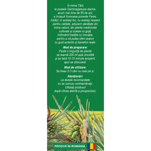 CEAI DE MUGURI DE PIN 50G [3]