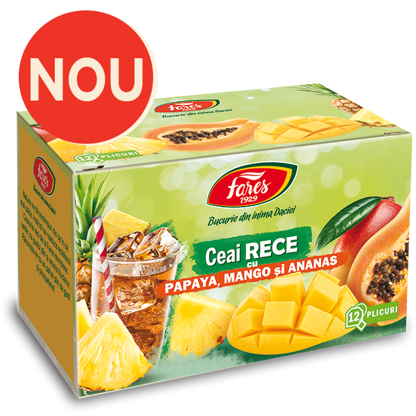 CEAI RECE CU PAPAYA, MANGO SI ANANAS 12DZ [1]