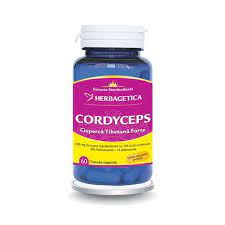 CORDYCEPS 10/30/1 60 CPS [1]