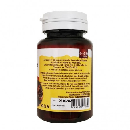 CURCUMA 600MG+PIPER NEGRU 5MG 60CPS KOTYS [2]