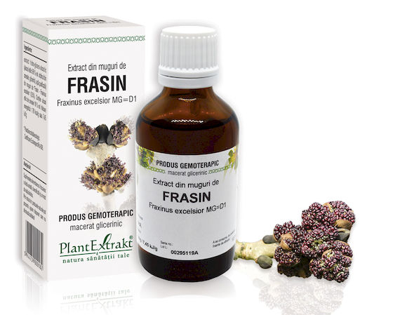 EXTRACT MUGURI FRASIN 50 ML [1]