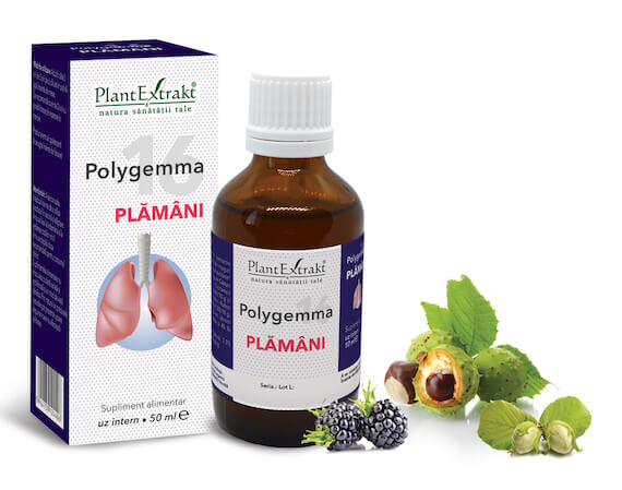POLYGEMMA NR.16 50 ML [1]