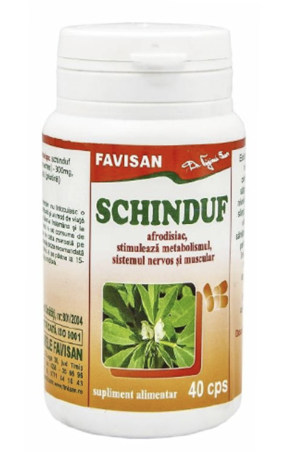 SCHINDUF 40 CPS [1]